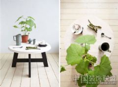 天然木质餐桌释放纯美之景简约餐厅装修图片