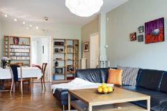 简约随性的瑞典公寓美式客厅装修图片