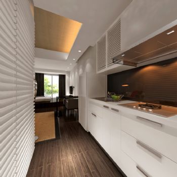 现代风格一居室设计效果图现代厨房装修图片
