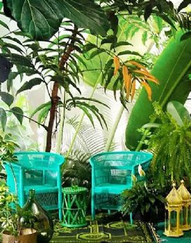 热带雨林绿色搭配设计案例田园客厅装修图片