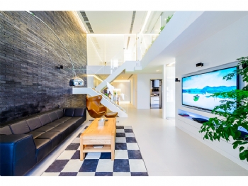 理智与情感 现代风格loft空间设计现代客厅装修图片