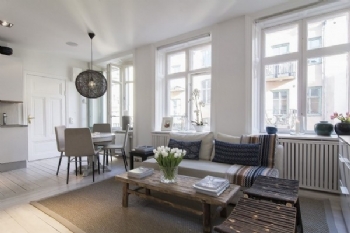 令人心动的瑞典清新小公寓简约客厅装修图片