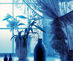 看潮人完美搭配家居色彩