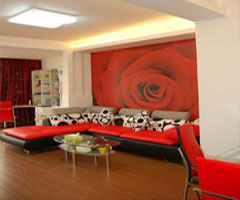 红玫瑰的梦想 时尚之家