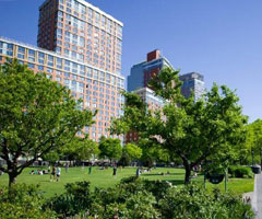 曼哈顿人生 感受美式风情