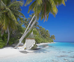 天堂岛国 别墅美好生活