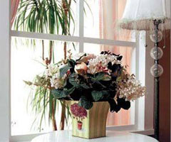 个性美丽窗台 风情万种