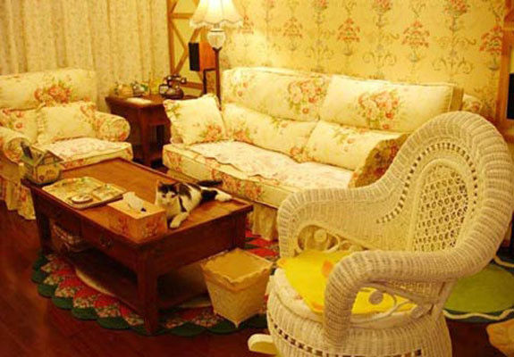 80后MM的田园风格家装