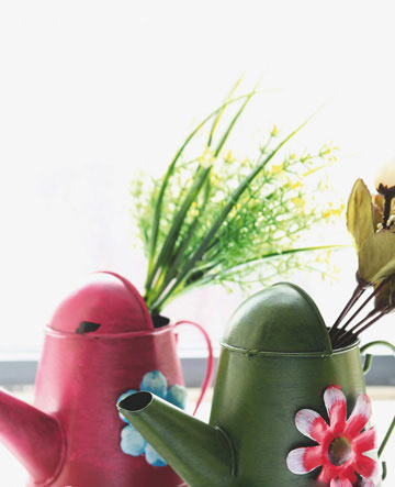 如何让花朵在居室内四季开放