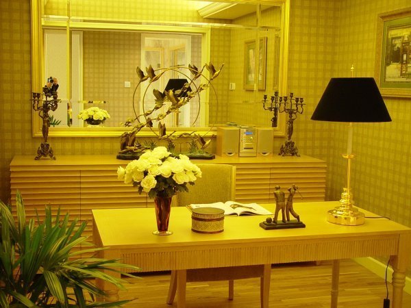 个性装饰打造欧式田园简约风