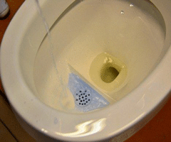 新加坡科学家发明新型马桶 可将粪便变煮饭燃料