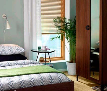 改善室内环境的重要手段——绿化