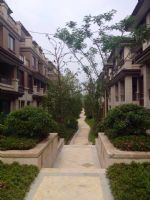 宁波维拉小镇联排别墅随拍