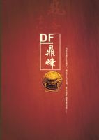 鼎峰装饰企业宣传画册-慈溪别墅设计