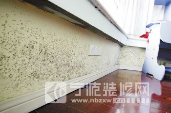 梅雨季节如何避免家居墙面长霉