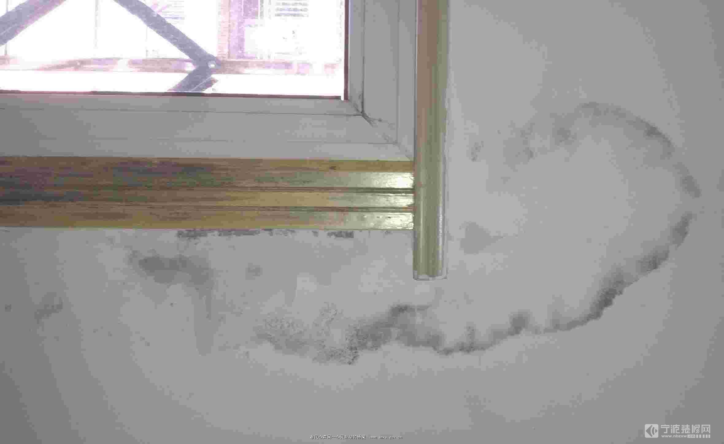 家里墙面出现渗水可冷静处理