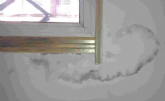 家里墙面出现渗水可冷静处理