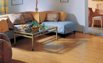 家居地板护理技巧与方法大解析