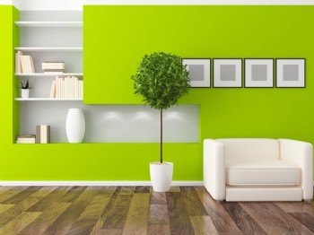 家里装修期待环保但是勿进误区哦