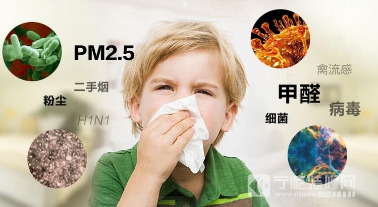 宁波装修网教您容易忽视的室内空气污染源