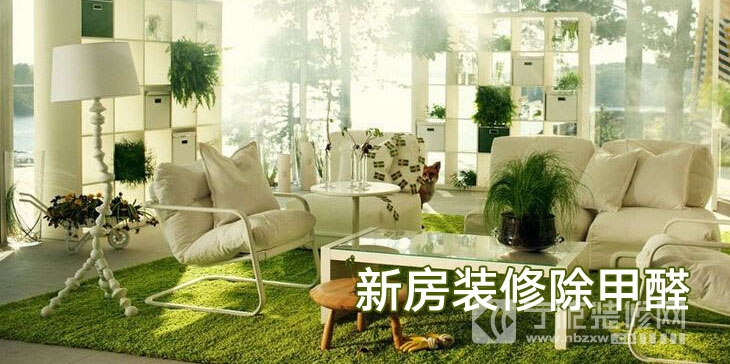 新房装修后有害气体有哪些？如何去除